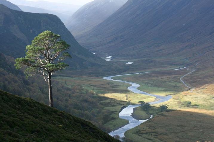 Luxury Alladale Hotel In Scotland